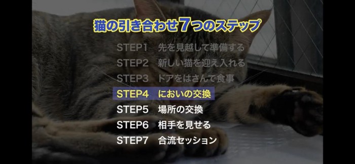 STEP4