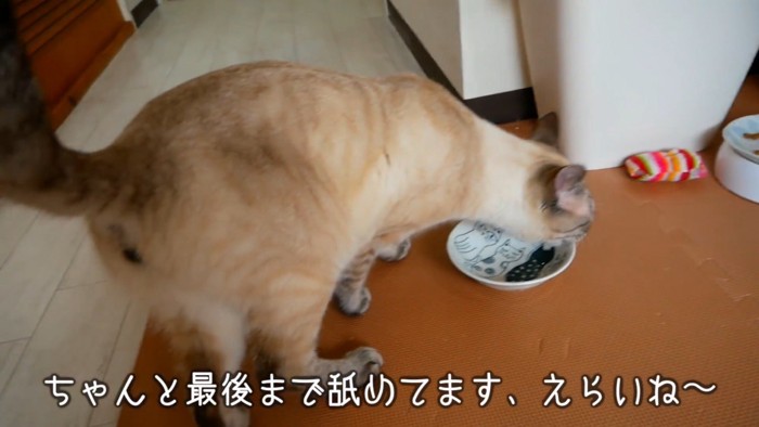 完食