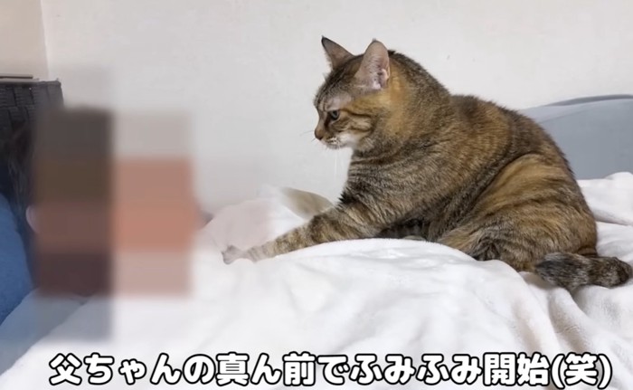 人の体の上に座る猫（父ちゃんの真ん前でふみふみ開始（笑））