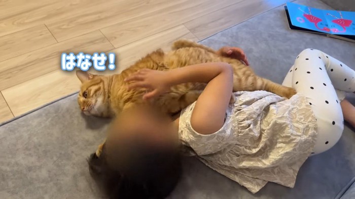 はなせ!