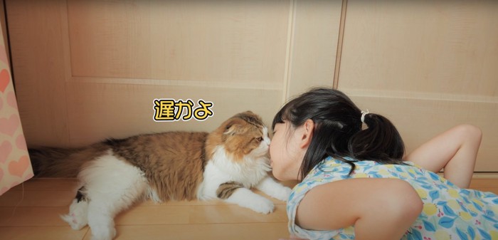 床に寝転がって猫にキスする子供