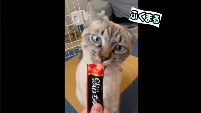 おやつ