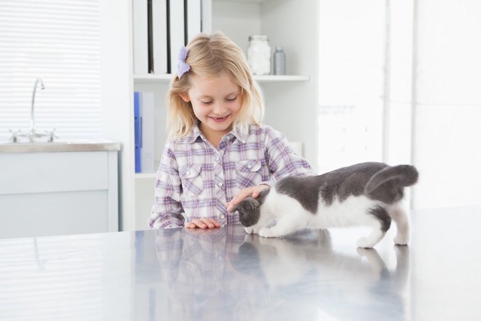 女の子に近づく子猫