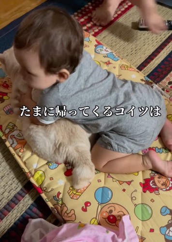 猫に寄りかかる赤ちゃん
