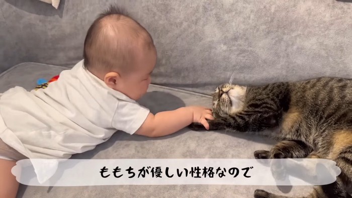 前足を握って