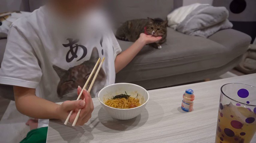 食事をする飼い主