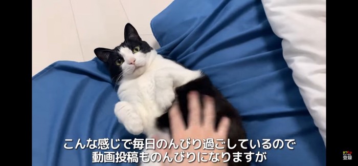 うらめしや