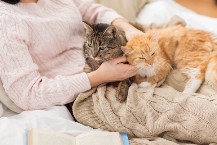 飼い主のお腹の上でくつろぐ二匹の猫