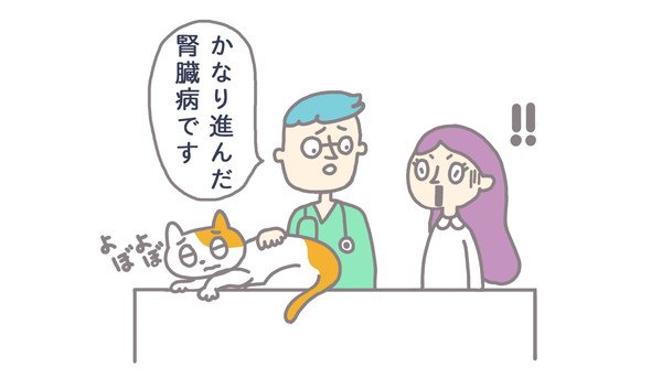 腎臓病と診断される猫