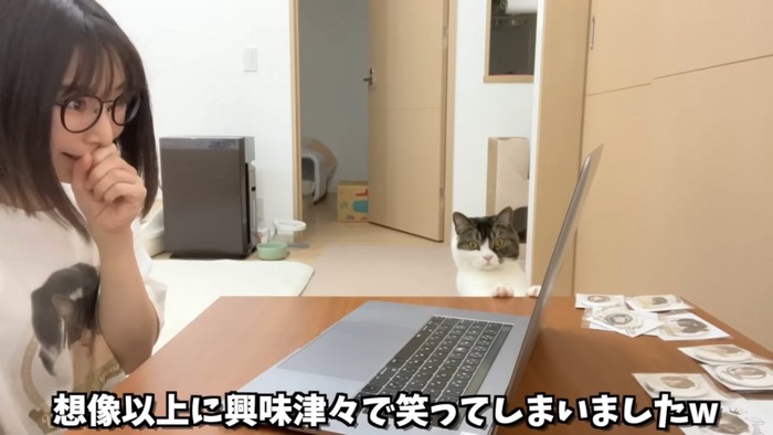 テーブルに前足を乗せる猫