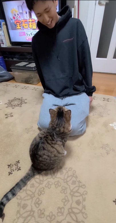 説教を続ける猫