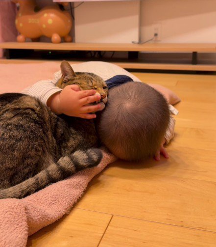 猫に頭を寄せる赤ちゃん