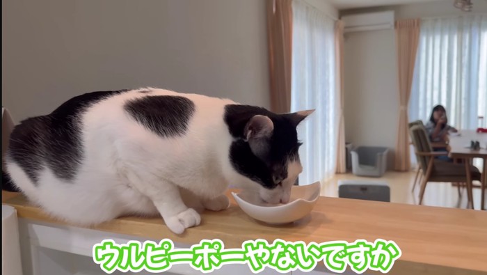 ウルンくん