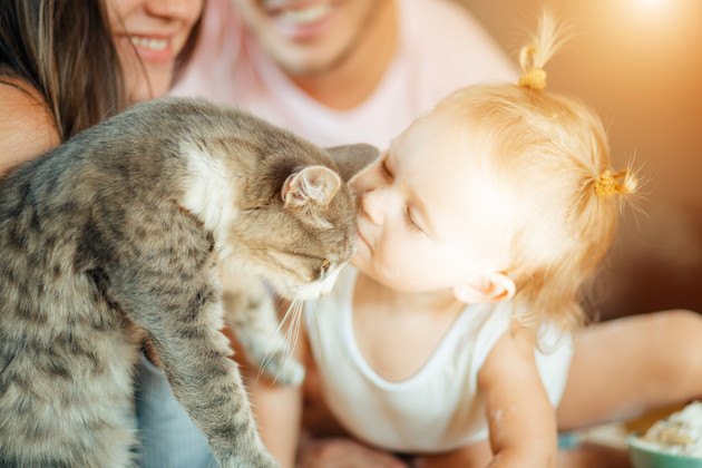 マンションに住んでいる赤ちゃんと猫