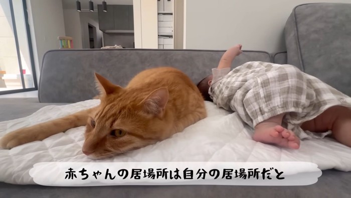 テロップ「赤ちゃんの居場所は~」
