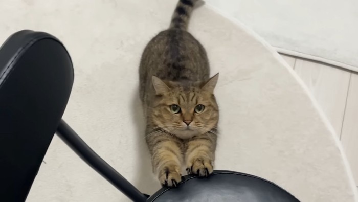 のびー
