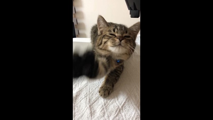 前足を伸ばす子さもじくん