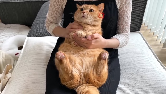 怒りマーク