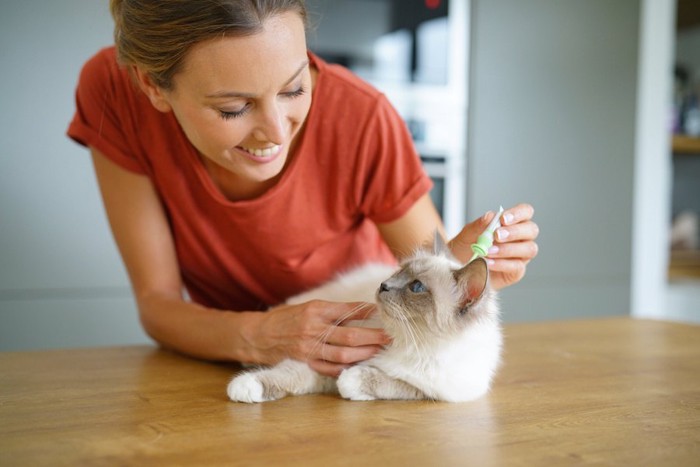 猫に予防薬を垂らす女性