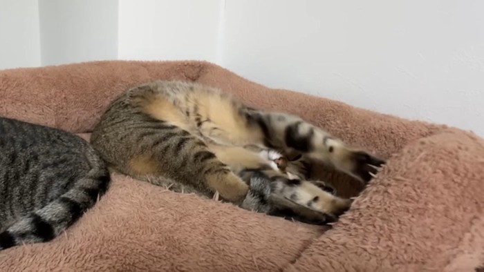 腕の間から顔を