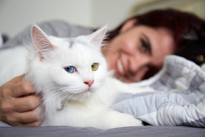 猫と女性