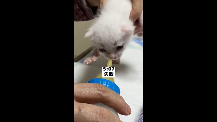 失敗
