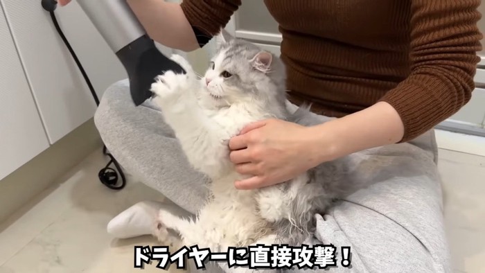 ドライヤーに直接攻撃！