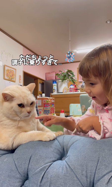 猫に指を出す女の子