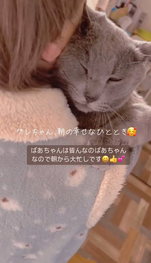 女性の肩越しの猫