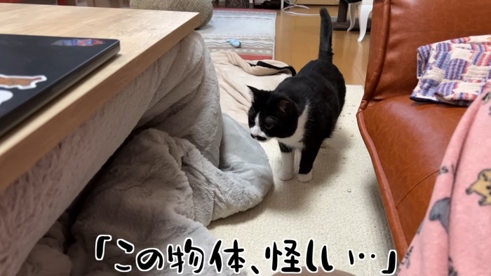 この物体、怪しい…