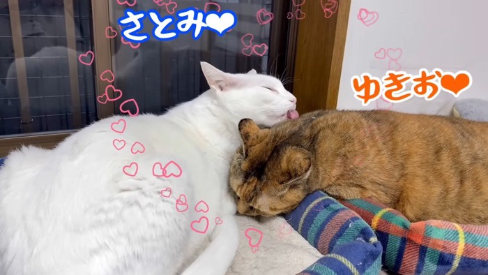 さとみちゃんと