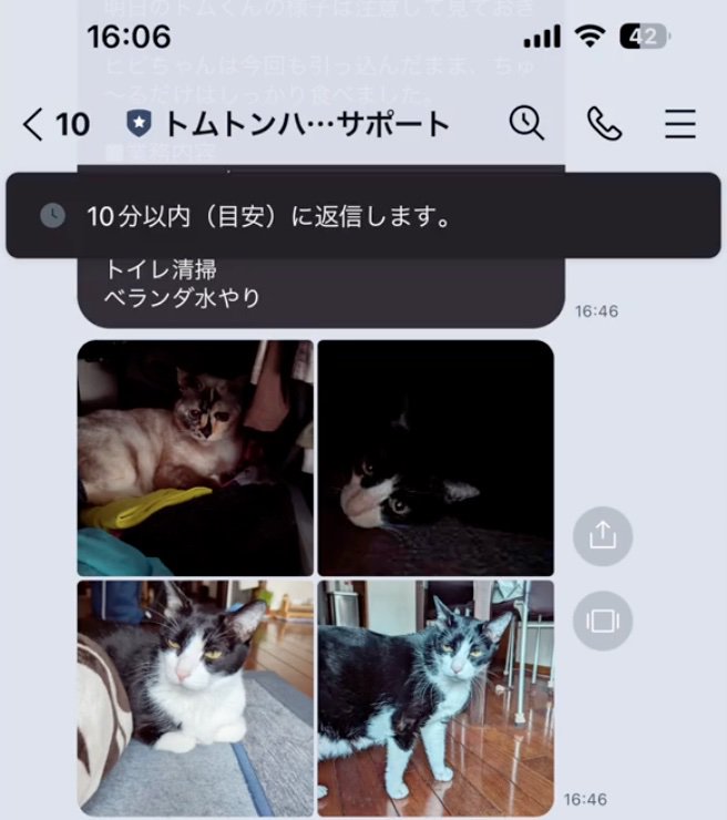 お世話報告
