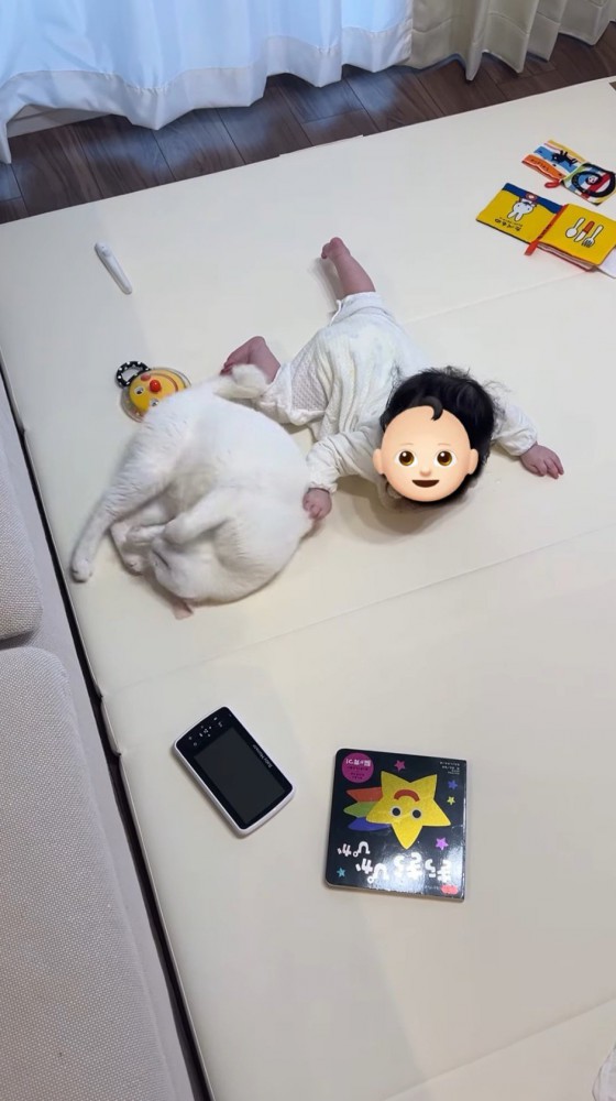 赤ちゃんの隣に寝転がる猫