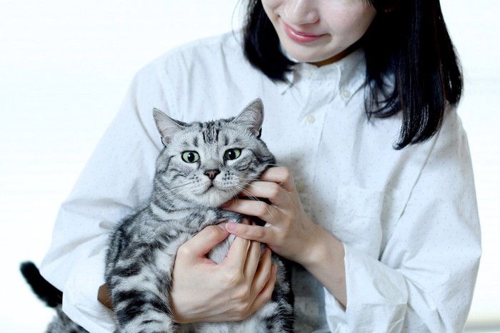 女性に抱かれる猫