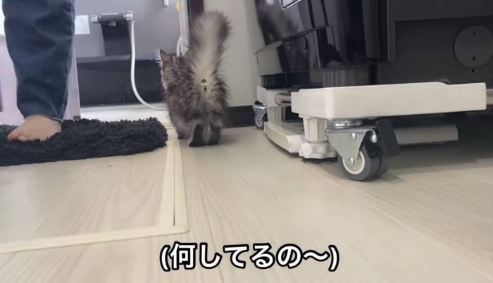 お風呂準備中の華ちゃん