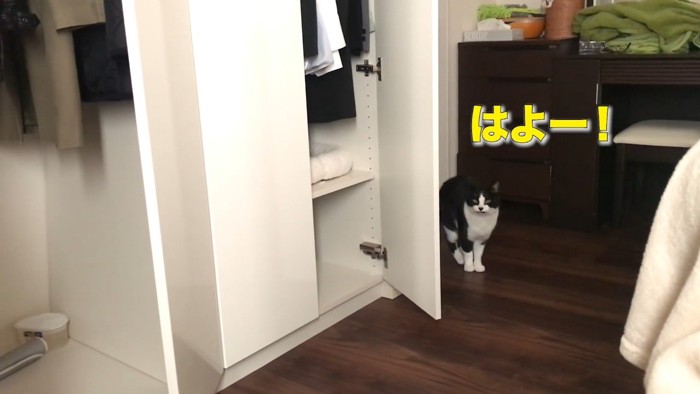 はよー!
