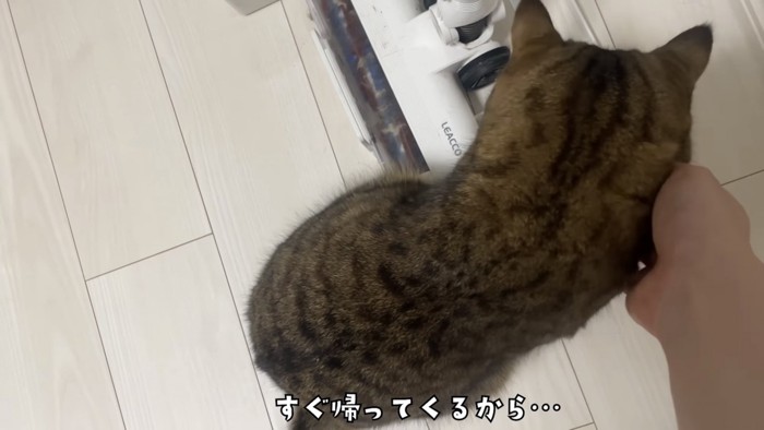 「すぐ帰ってくるから...」のテロップ写真