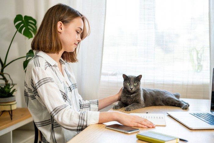 仕事中の女性と猫