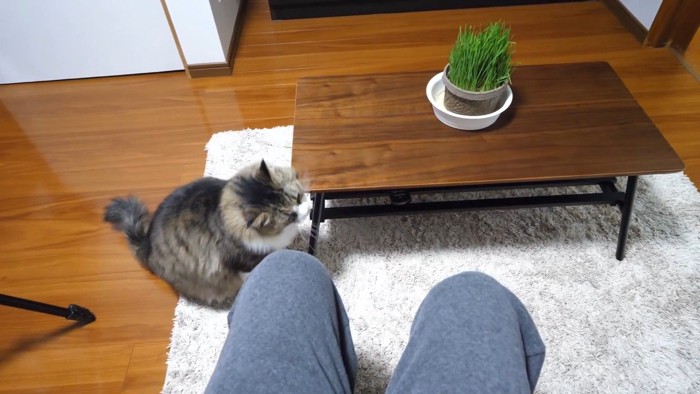 テーブルにスリッ