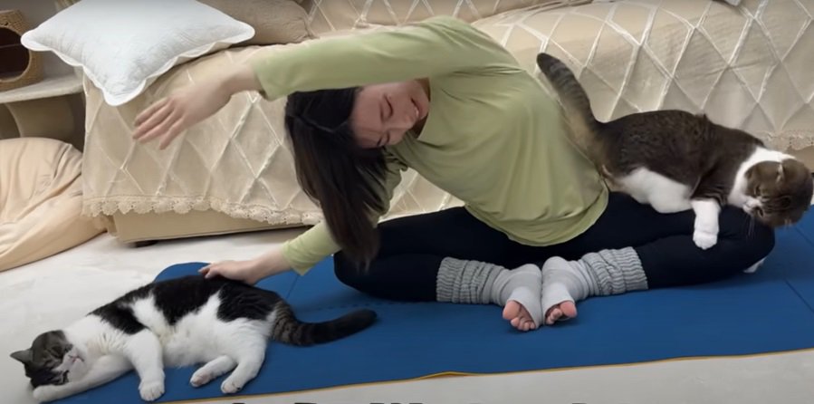 ストレッチをする女性と2匹の猫2