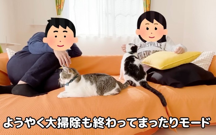 まったりする猫