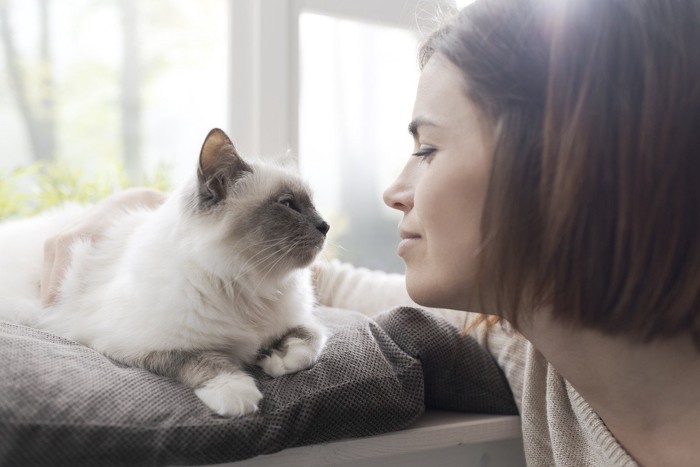 見つめ合う人と猫