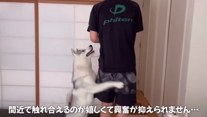 立ち上がる犬