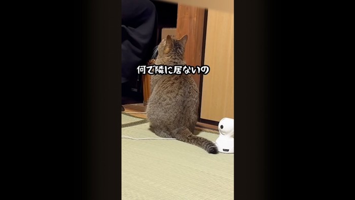 テロップ「何で隣にいないの」