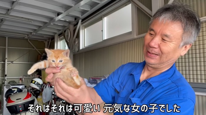 抱っこされる茶トラの子猫