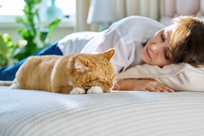 ベッドで眠る猫と女性