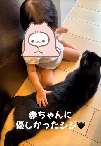 床に寝そべっている猫と座っている赤ちゃん