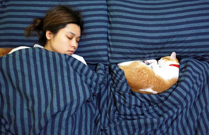 ベッドで寝る女性と猫