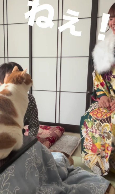 晴れ着姿の女性と猫