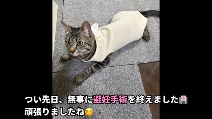 テロップ「つい先日、無事に~」